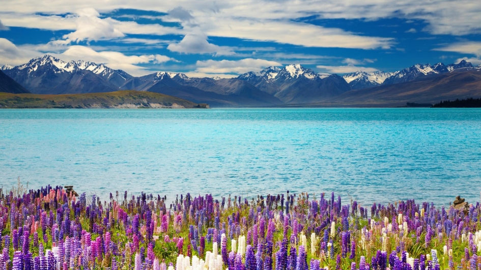 hồ tekapo.jpg